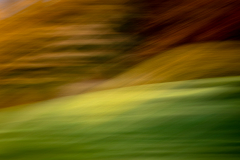 Experimente (Foto: Peter Schreyer)