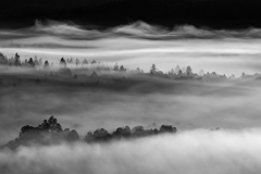 Schwarz-Weiß (Foto: Peter Schreyer)