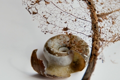 Foto: Pia Mihailowitsch