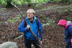Pilz-Exkursion mit Peter Karasch (Foto: Niklas Neubauer)