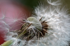 Platz 19: "One more breeze" (Andreas Ochsenkühn)