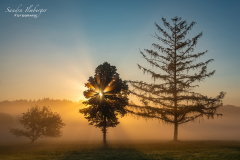 Morgenstunde (Foto: Sandra Ilmberger)