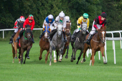 Galopp, (c) Egbert Dannert