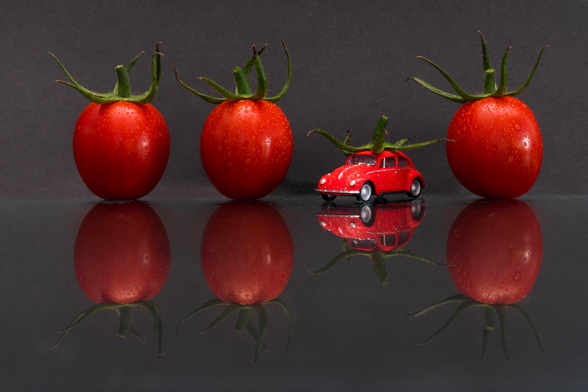 Stillleben Tomaten und Käfer (Foto: Andy Ilmberger)
