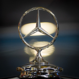 Shining Star (Foto: Andy Ilmberger)