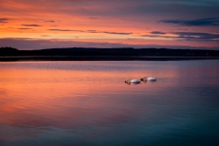 Sonnenuntergang am Starnberger See von Birgit Rilk