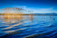 Starnberger See von Helga Orterer