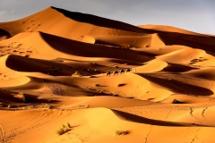 Sahara-Wüste Marokko von Gisela Moutschka