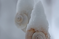 Winterendspurt von Karlheinz Steinberger
