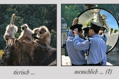 Bildpaar "tierisch - menschlich... (?)" (Foto: Klaus-Peter Volkmann)