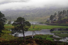 Scotland2_web