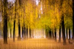 Experimentelle Fotografie Platz 4: Birgit Rilk