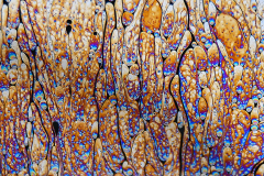 Experimentelle Fotografie Platz 3: Anja Köder