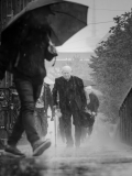Platz 1 Wettbewerb "Sauwetter": Katja Pohl