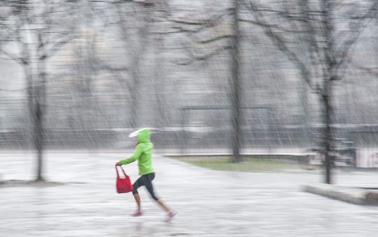 6. interner Wettbewerb 2025: Regen- & Sauwetter