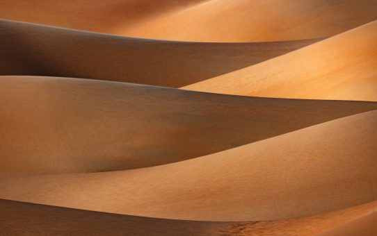 1. interner Wettbewerb 2026: Formen und Linien