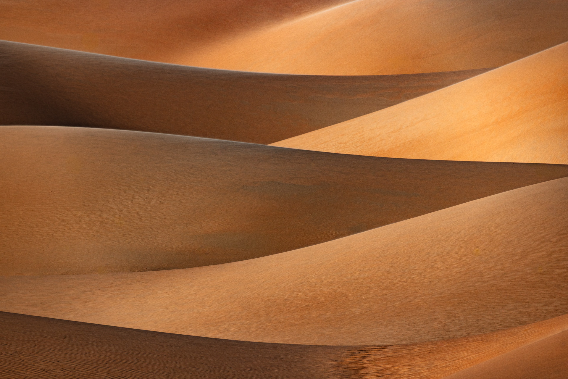 Siegerbild "Formen und Linien" von Peter Schreyer