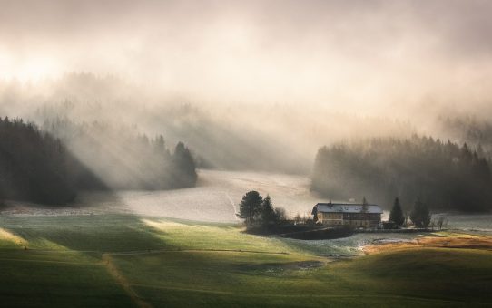 2. interner Wettbewerb 2026: Licht und Schatten