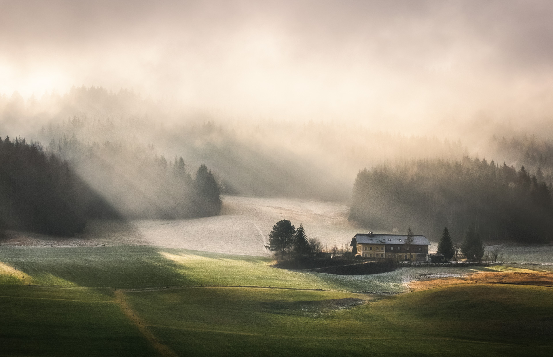 Licht und Schatten von Rainer Kiefer