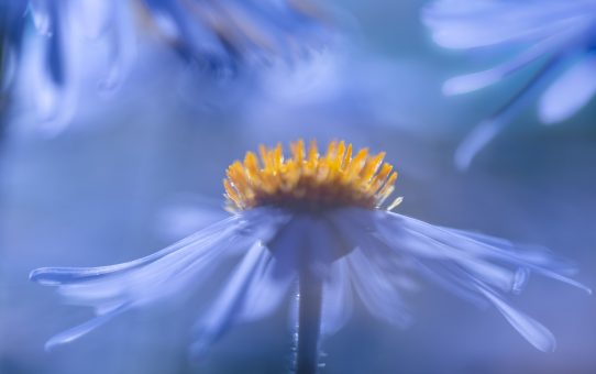 3. interner Wettbewerb 2026: Die Farbe Blau